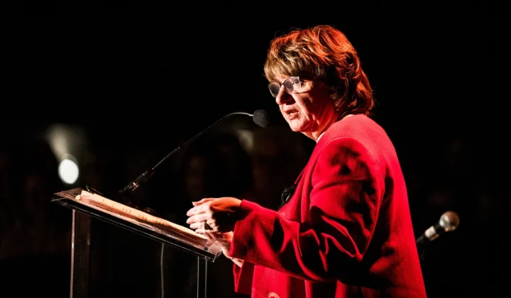 Government Commissioner Hamer Calls for Improved Investigations into Cross-Border Conduct