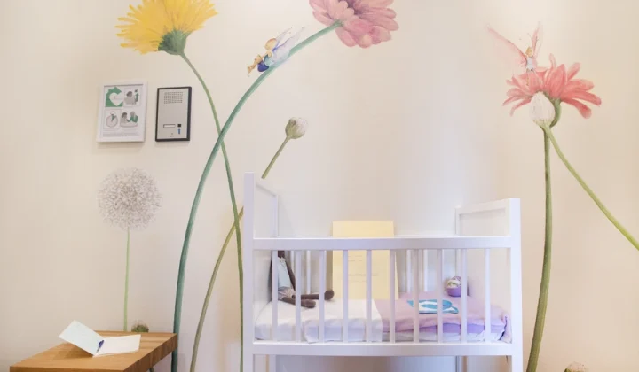 Zwolle Hospital’s Baby Drop-off Room Marks Decade of Service, Offering Lifeline to Mothers in Crisis