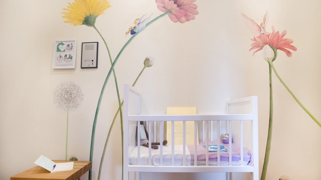 Zwolle Hospital’s Baby Drop-off Room Marks Decade of Service, Offering Lifeline to Mothers in Crisis