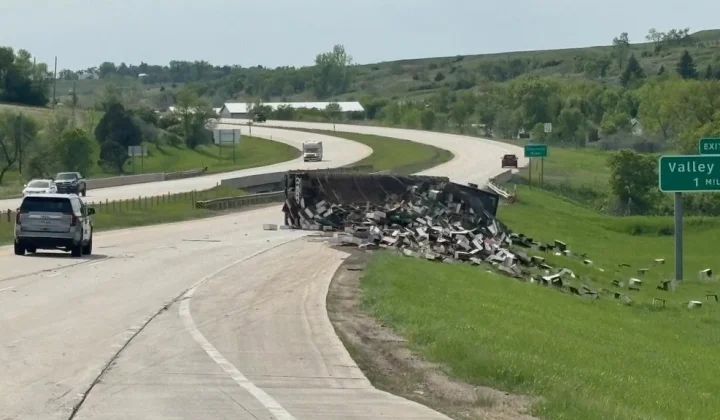 Millions of Bees Escape After US Highway Accident