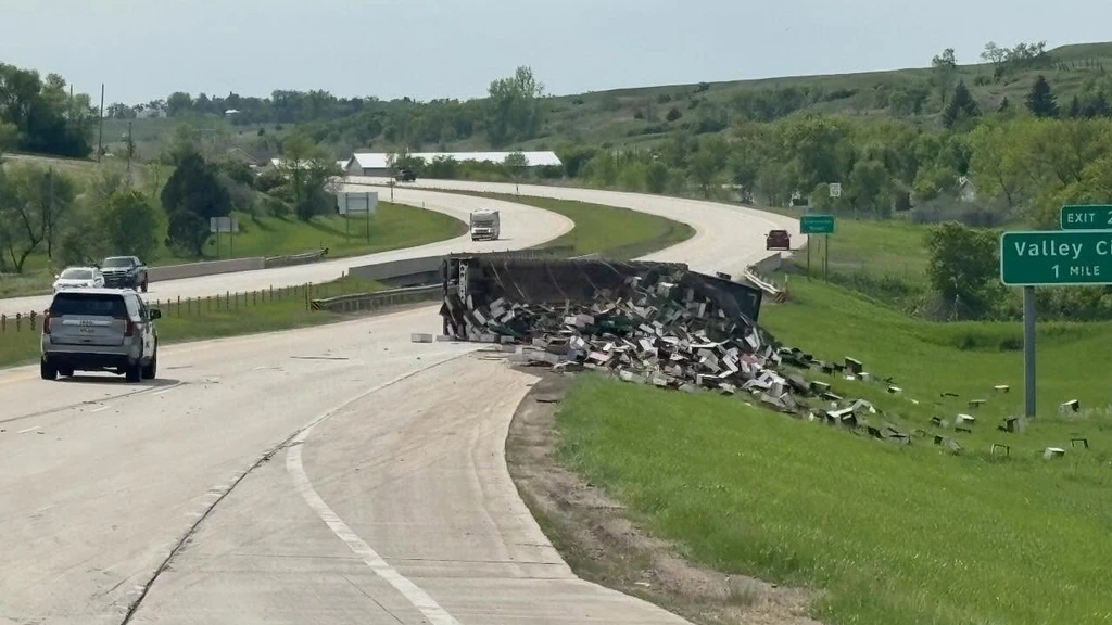 Millions of Bees Escape After US Highway Accident