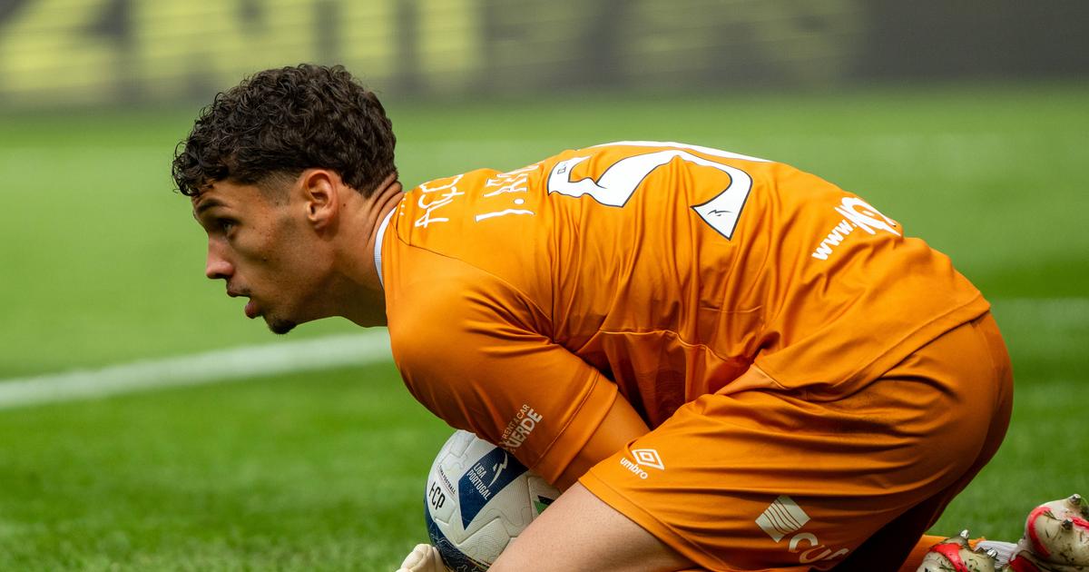 FC Porto Bolsters Goalkeeping Ranks with Signing of João Afonso