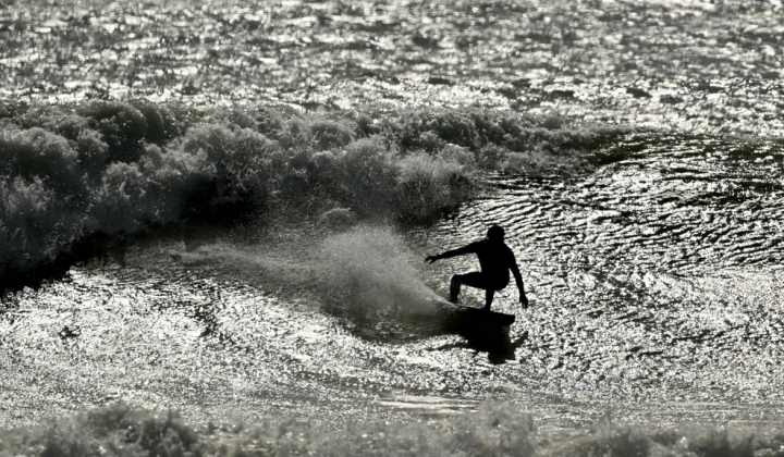 Surfer-Event in New Zealand Halted After Cameraman Bitten by Marine Animal