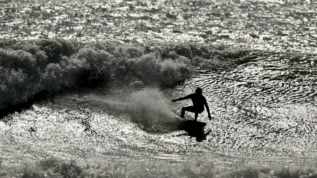 Surfer-Event in New Zealand Halted After Cameraman Bitten by Marine Animal