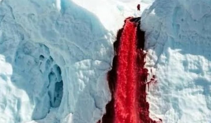 El Misterio de las ‘Cascadas de Sangre’ en la Antártida Resuelto: Ciencia Revela el Secreto del Agua Roja