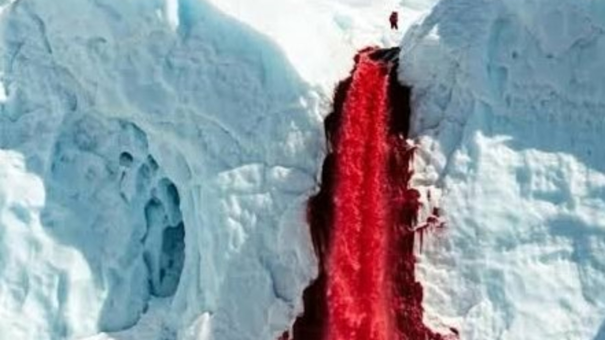El Misterio de las ‘Cascadas de Sangre’ en la Antártida Resuelto: Ciencia Revela el Secreto del Agua Roja