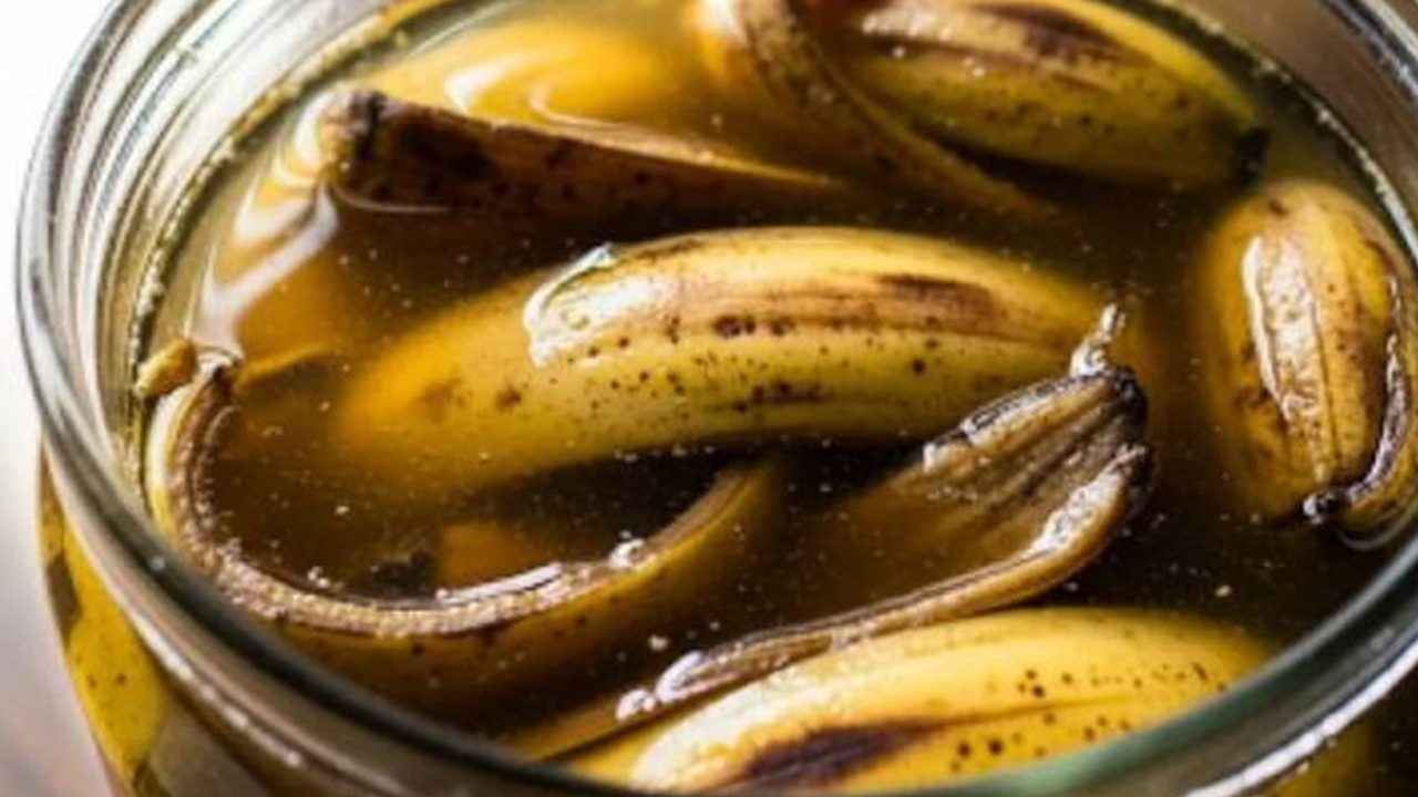 Revelan Truco Casero para Nutrir Plantas con Cáscara de Banana y Bicarbonato