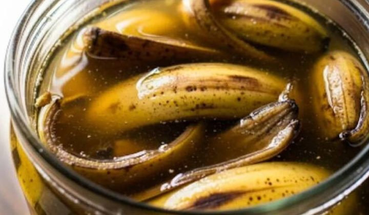 Revelan Truco Casero para Nutrir Plantas con Cáscara de Banana y Bicarbonato