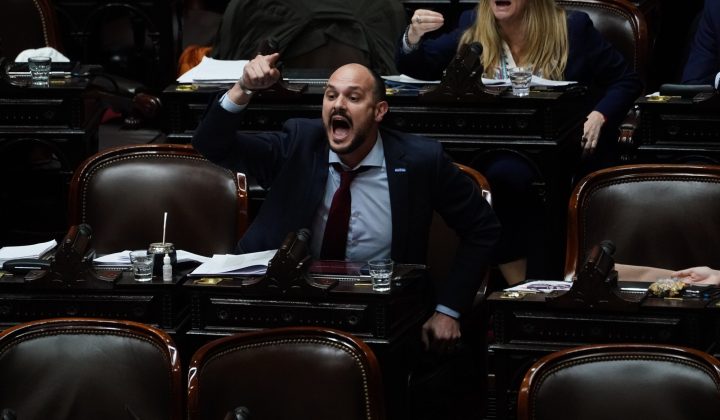 Heated Exchange in Argentine Congress: Peronist Deputy Diagnoses Milei as “Borderline,” Sparks Libertarian Backlash