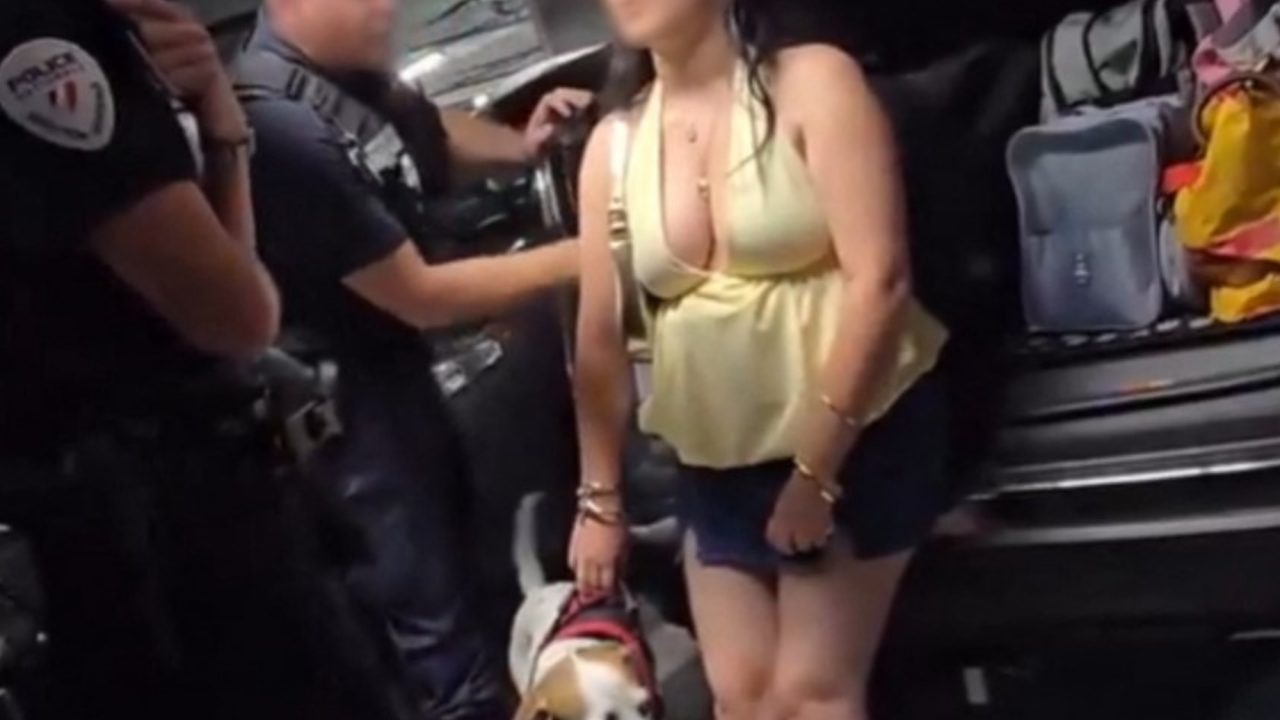 Dog Rescued from Hot Car in Lyon Amid Record Heatwave