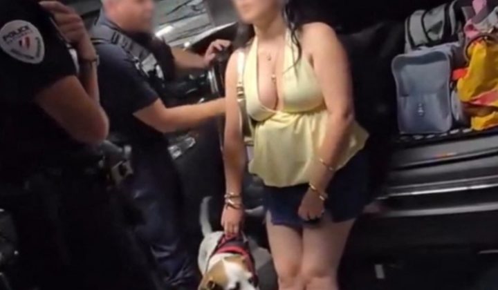 Dog Rescued from Hot Car in Lyon Amid Record Heatwave