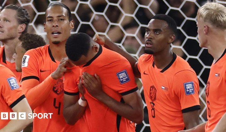 Cody Gakpo Scores in Emotional Netherlands Match Days After Personal Tragedy