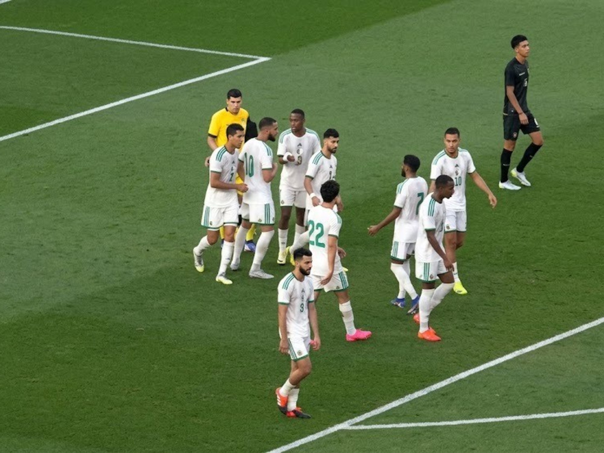 Algeria national football team players in action during a match.