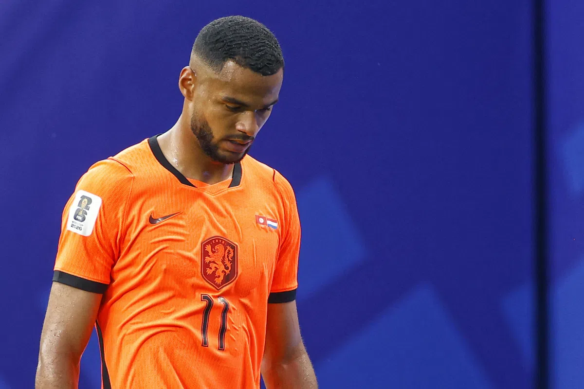 Cody Gakpo in the Netherlands national team kit.