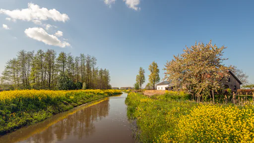 Dutch Freshwater Nature Shows Signs of Decline, Warn Environmental Organizations