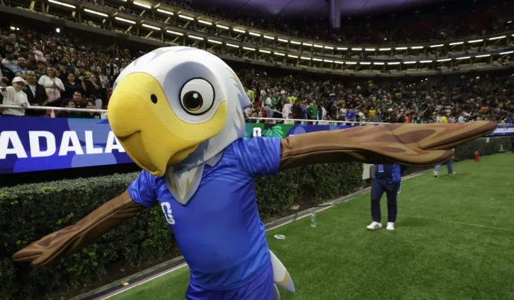 World Cup Upsets Linked to Bird Species Count, Study Suggests