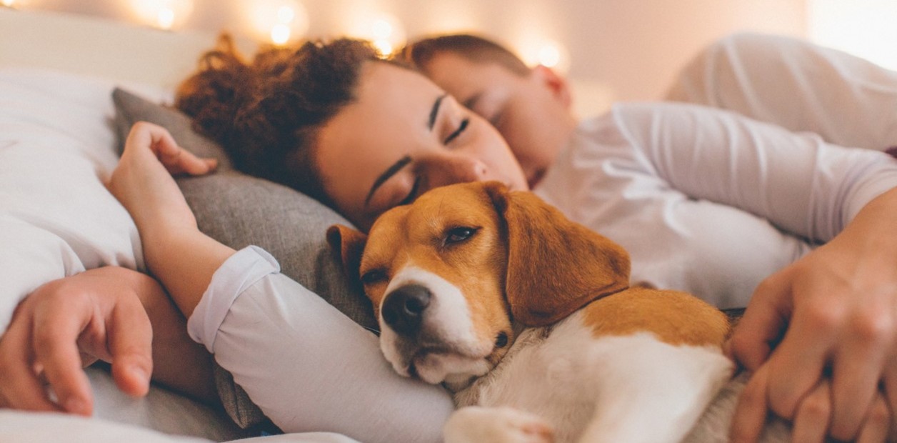 Shared Beds with Pets Boost Oxytocin and Offer Emotional Regulation, Psychology Suggests