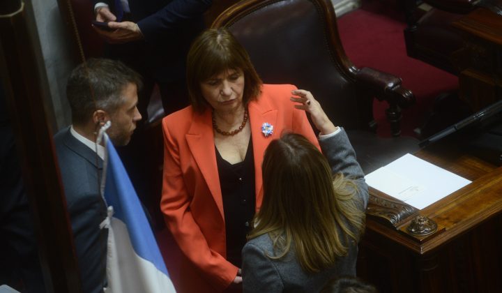 Javier Milei’s Reelection Hopes Hinge on Political Alliances Amidst Senate Setbacks