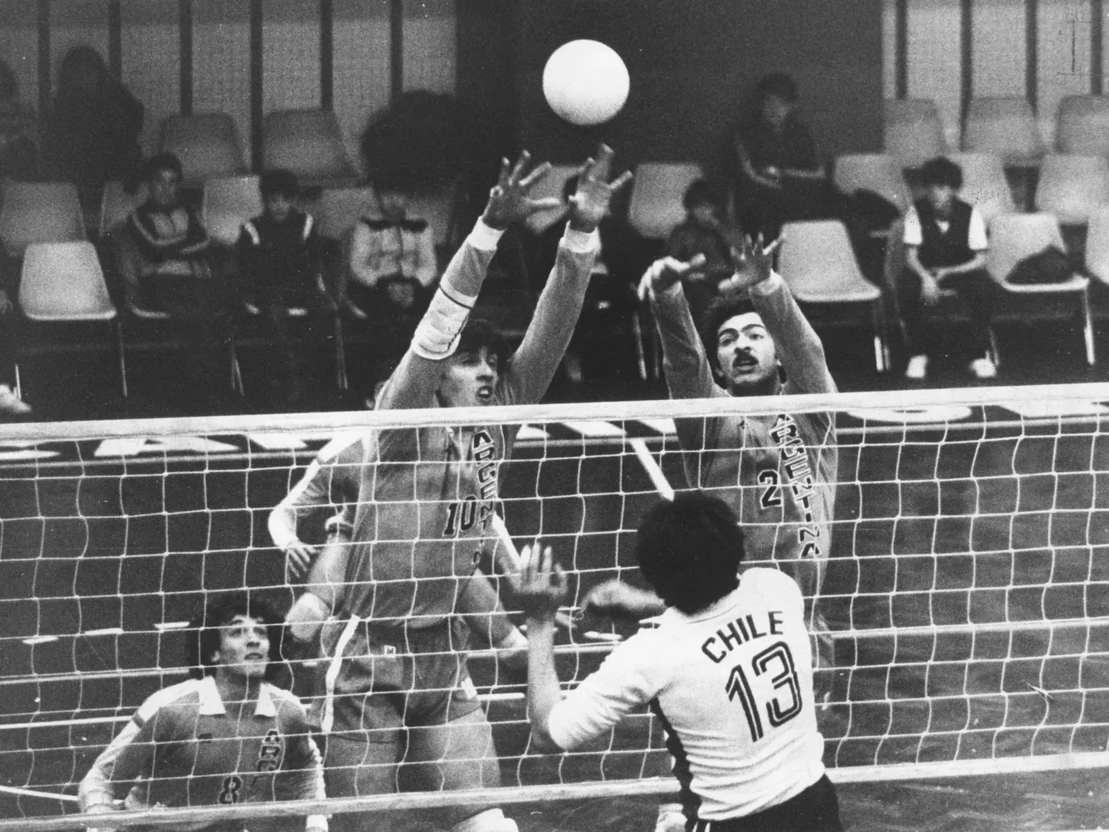 Daniel Castellani, former captain of the Argentine national volleyball team.