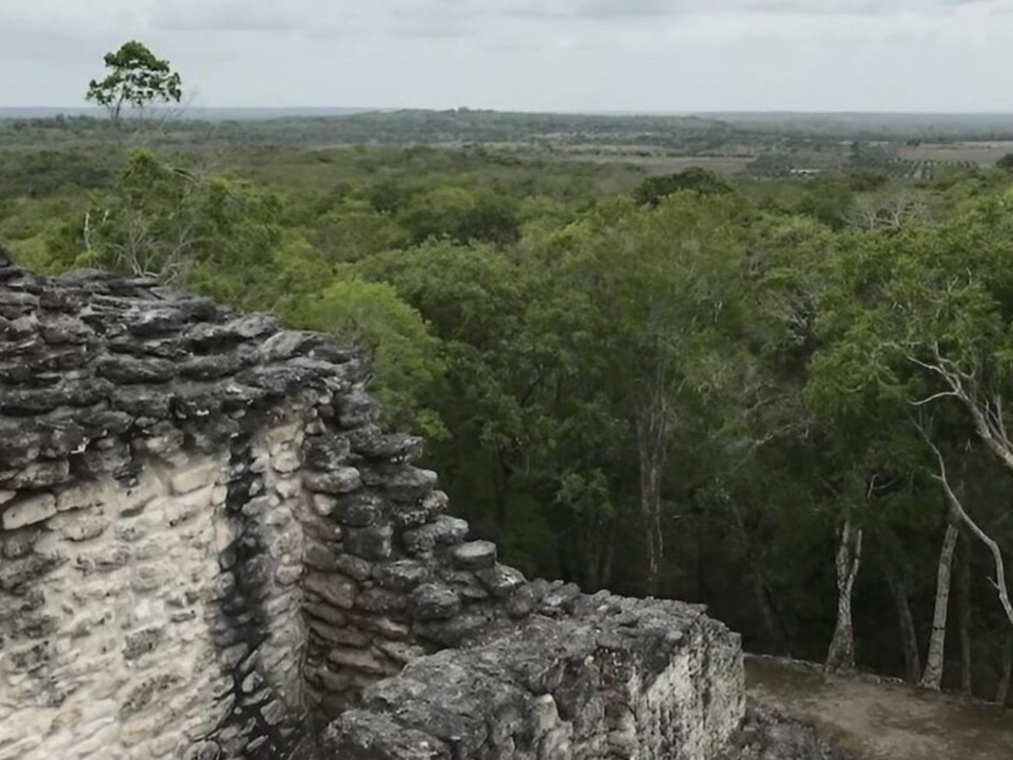 Una representación de una antigua ciudad maya descubierta mediante un escaneo LiDAR, mostrando estructuras piramidales y plazas cubiertas por la selva.