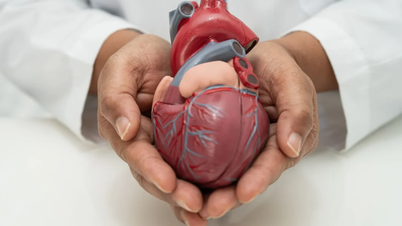 Yoga: The Ideal Exercise for Cardiovascular Health and Circulation