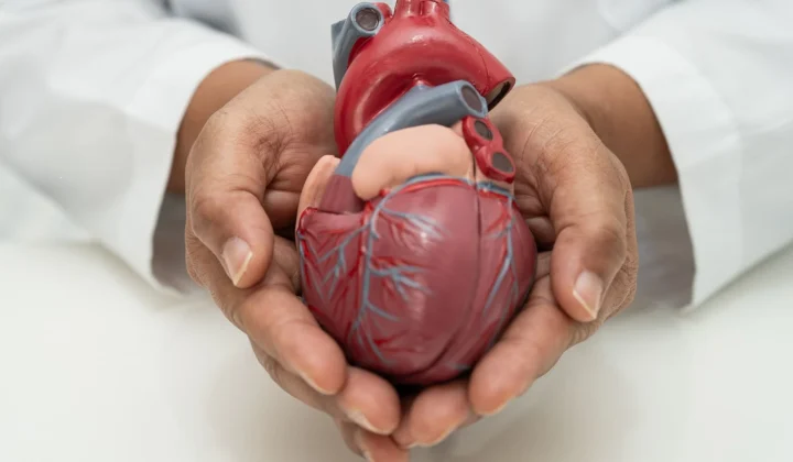 Yoga: The Ideal Exercise for Cardiovascular Health and Circulation