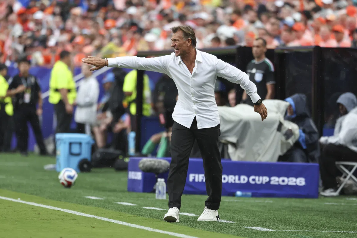 Hervé Renard, coach of the Tunisia national football team, during a match.