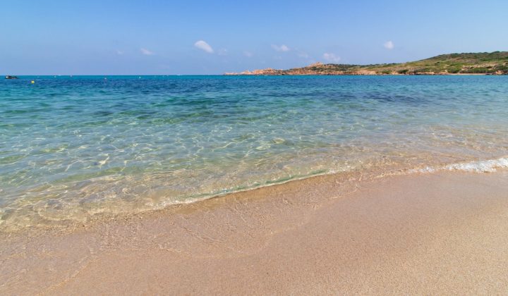 Peligro oculto en las playas españolas: el Pez Araña y cómo actuar ante su picadura