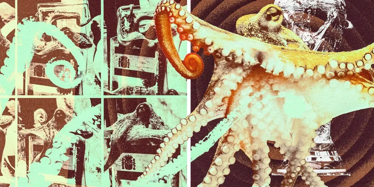 The Enduring Legacy of Paul the Octopus: More Than Just a World Cup Mystic?