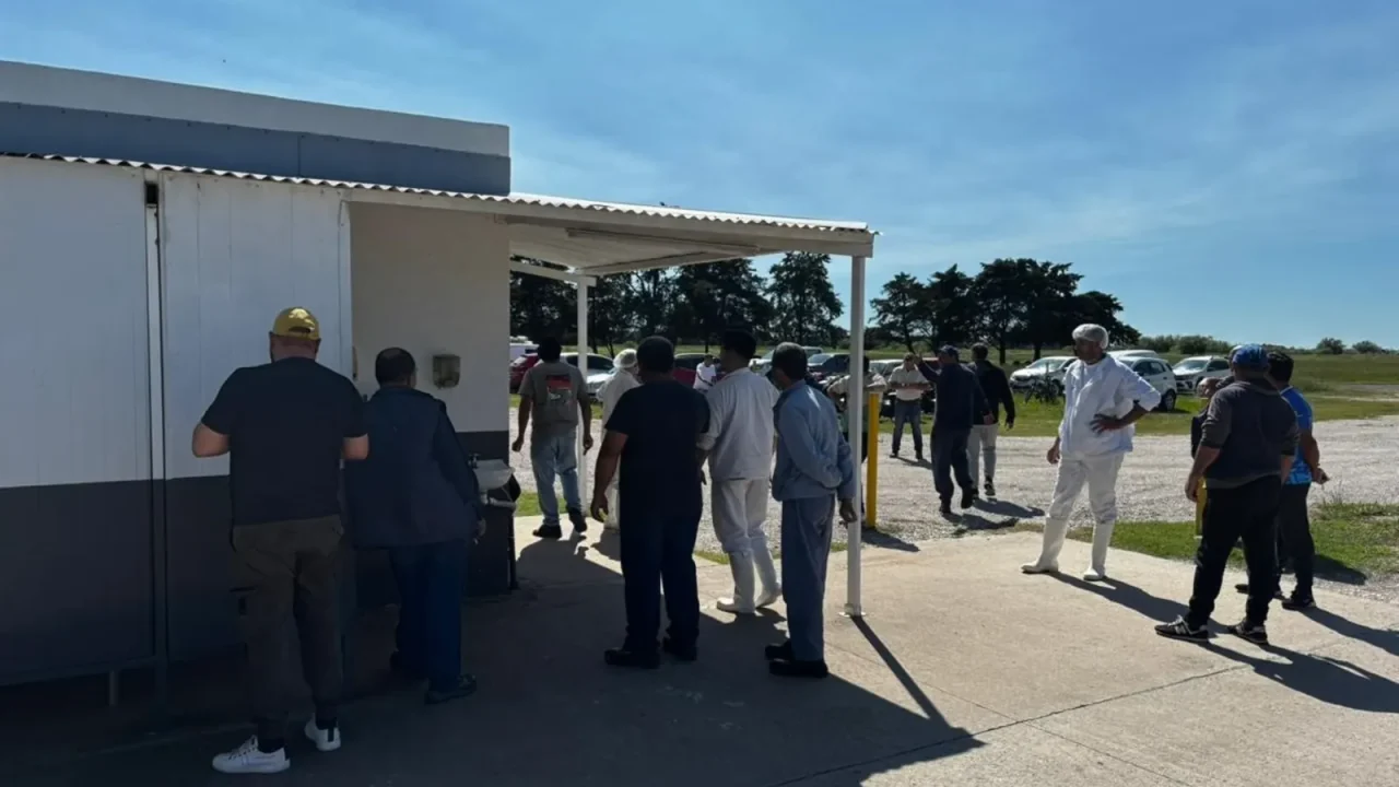 Sudamericana de Lácteos Revival Stalls Again Amidst Buyer-Union Accusations