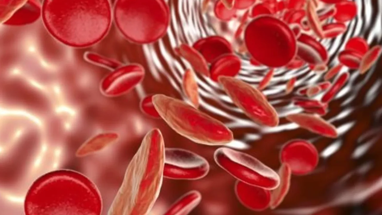 U.S. Researchers Develop Room-Temperature Stable Blood Substitute for Battlefield Transfusions