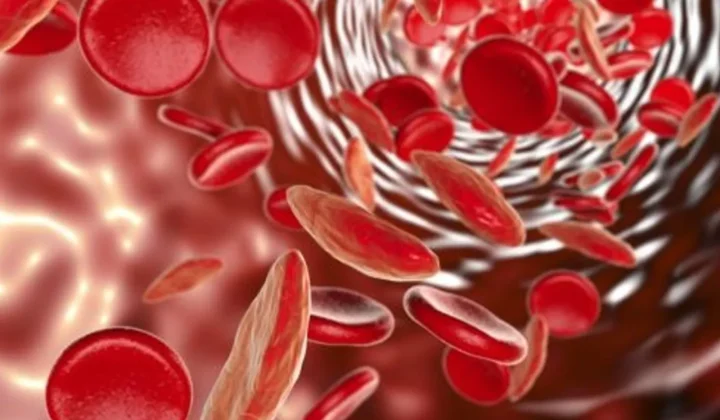 U.S. Researchers Develop Room-Temperature Stable Blood Substitute for Battlefield Transfusions